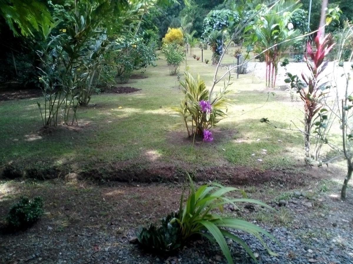 Puerto Vargas Lodge Cahuita Exterior photo